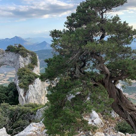 Sa Domu e Muru Galtellì Esterno foto