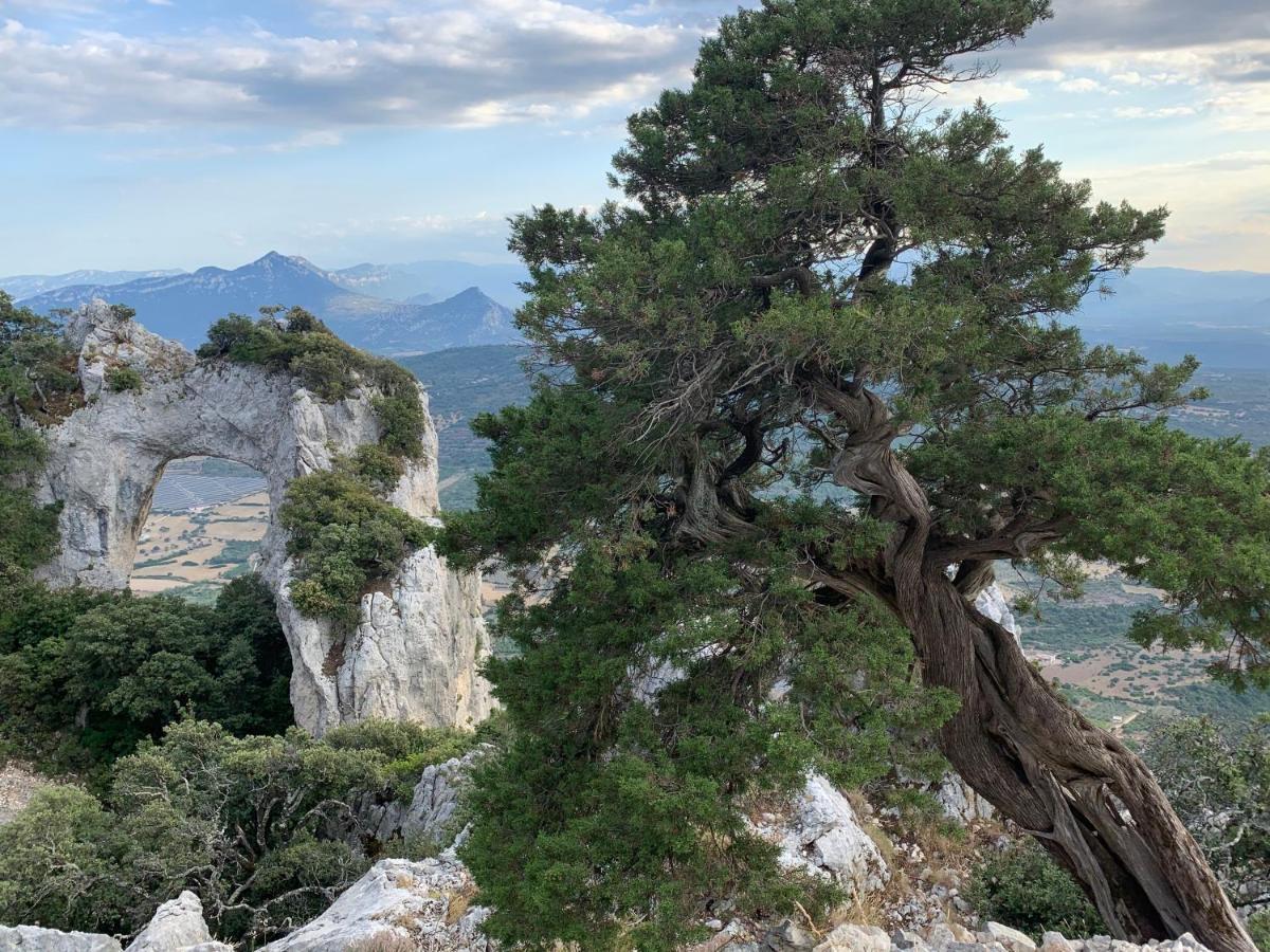 Sa Domu e Muru Galtellì Esterno foto