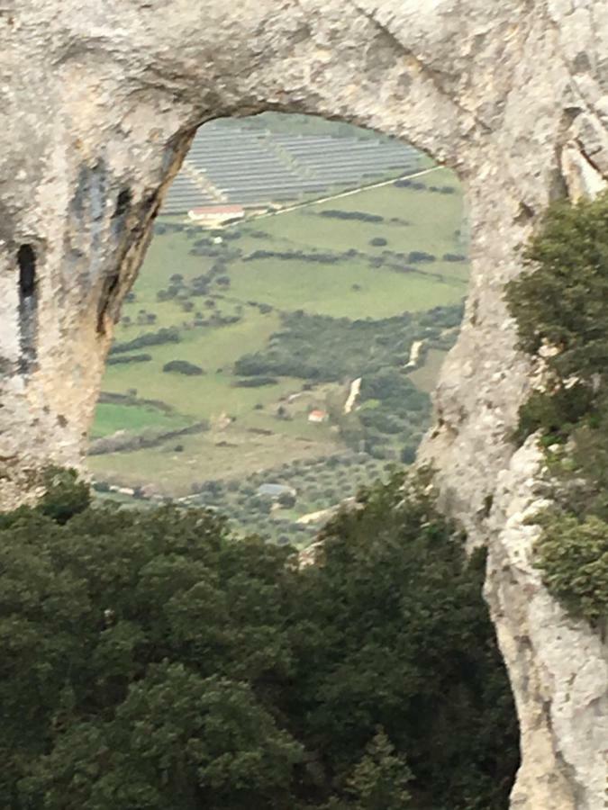 Sa Domu e Muru Galtellì Esterno foto