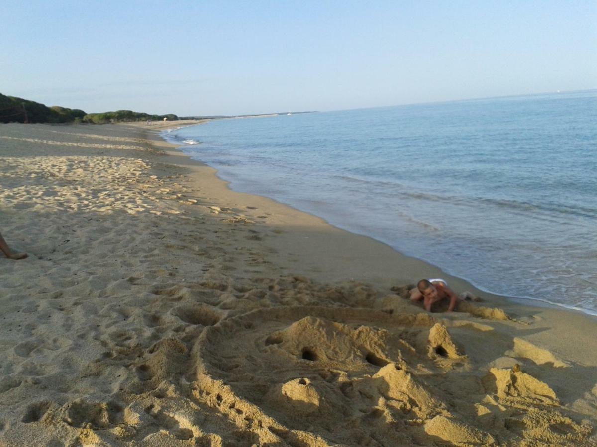 Sa Domu e Muru Galtellì Esterno foto