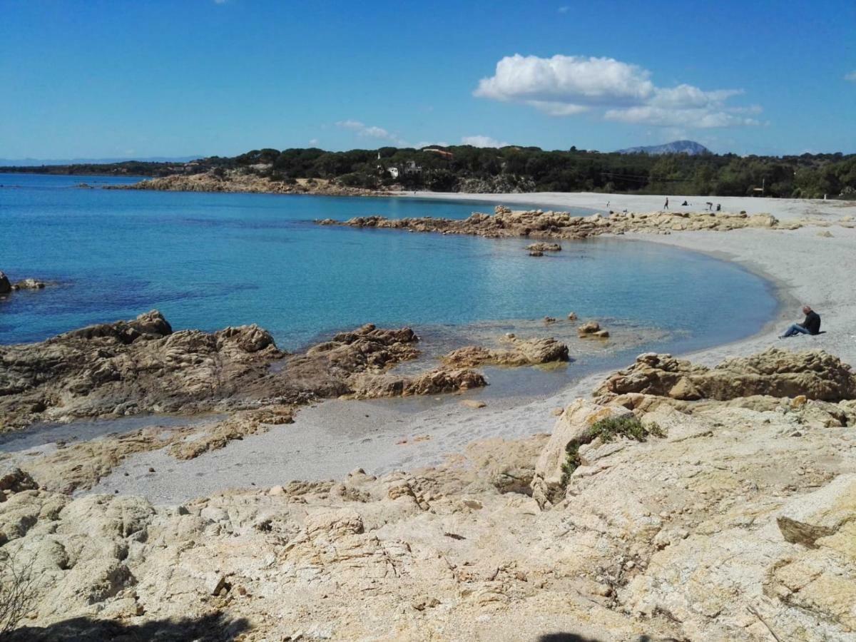 Sa Domu e Muru Galtellì Esterno foto