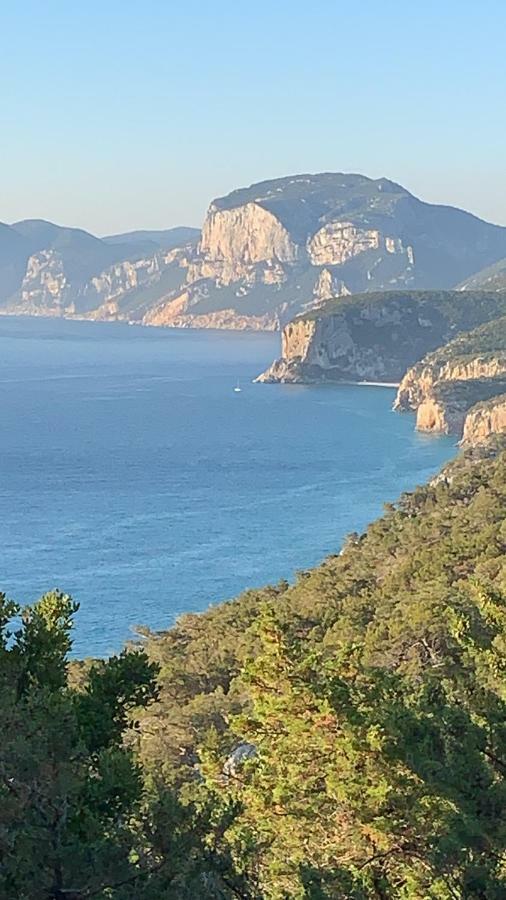 Sa Domu e Muru Galtellì Esterno foto