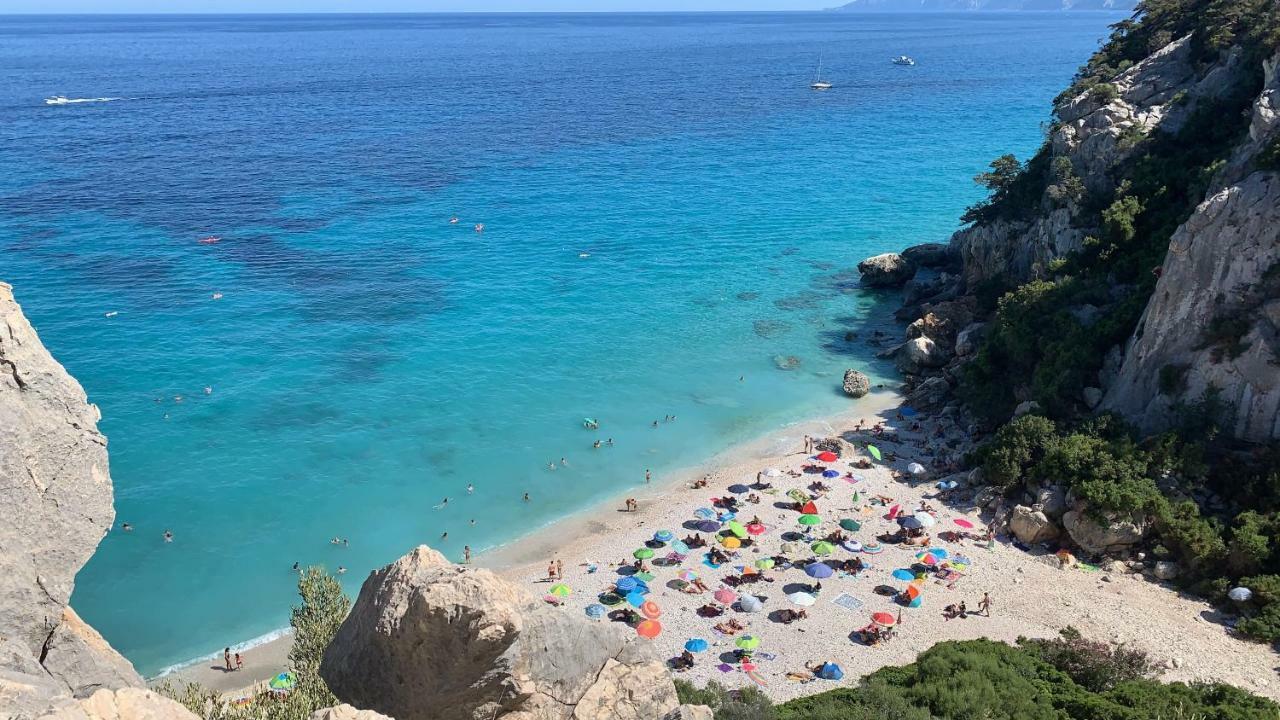 Sa Domu e Muru Galtellì Esterno foto